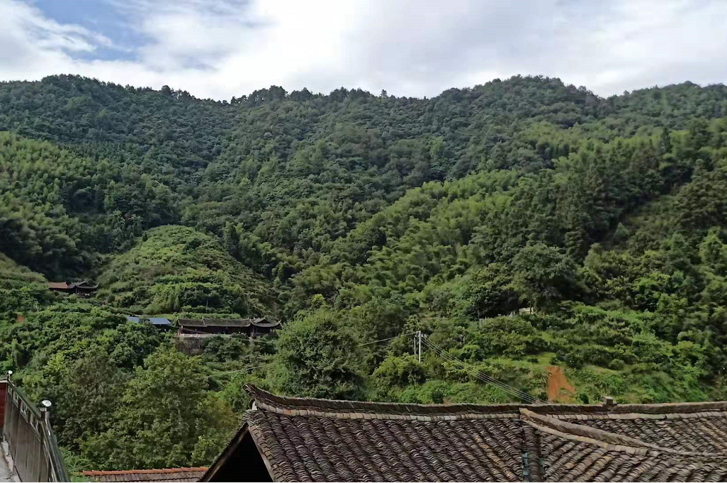 黔陽(yáng)瞐安江松林基地 黔陽(yáng)瞐安江松林基地